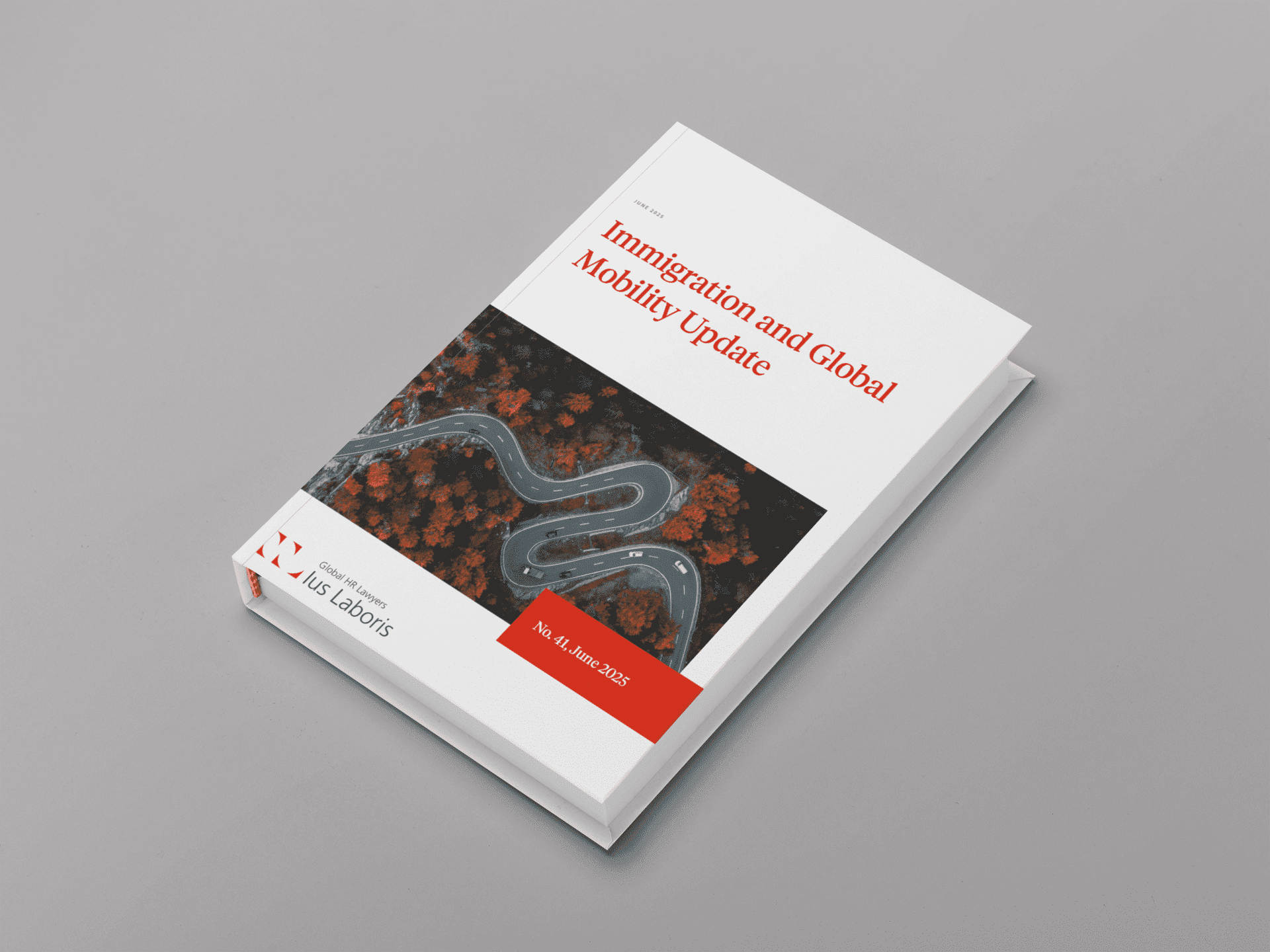 Immigration and Global Mobility Update No. 41, June 2025 - Ius Laboris