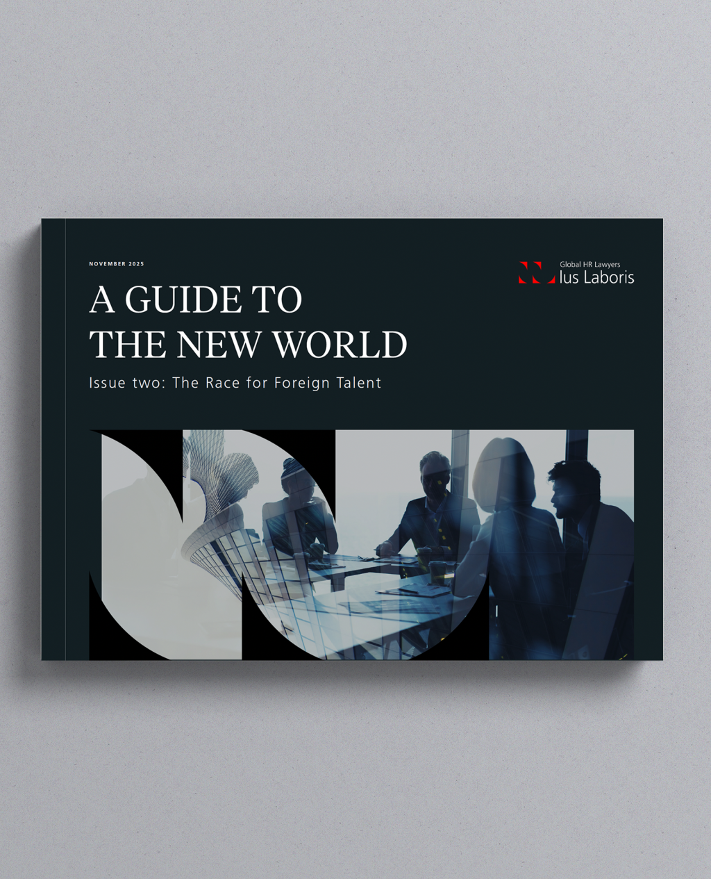 Cover image of the guide to the new world