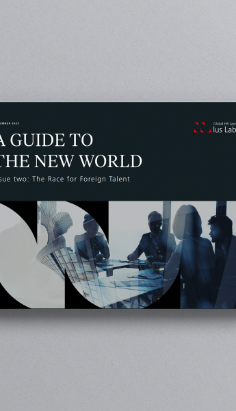 Cover image of the guide to the new world
