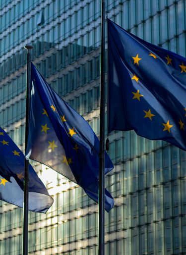 Photo of 3 european union flags