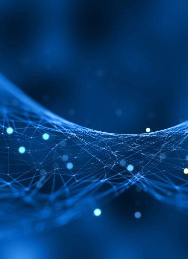 Image of a data net